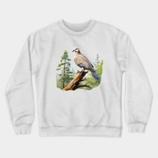 Collared Dove Crewneck Sweatshirt